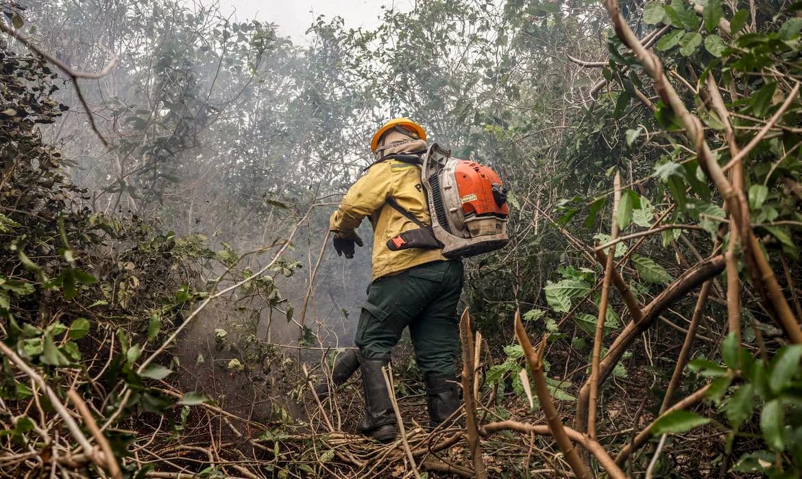 AMAZONAS REGISTRA 540 FOCOS DE INCÊNDIO EM APENAS DOIS DIAS