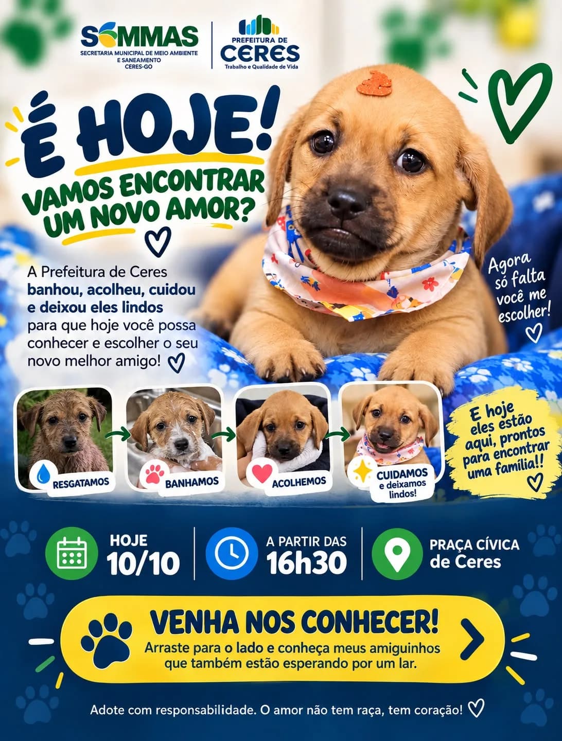 PREFEITURA DE CERES PROMOVE FEIRA DE ADOÇÃO DE ANIMAIS NESTE SÁBADO