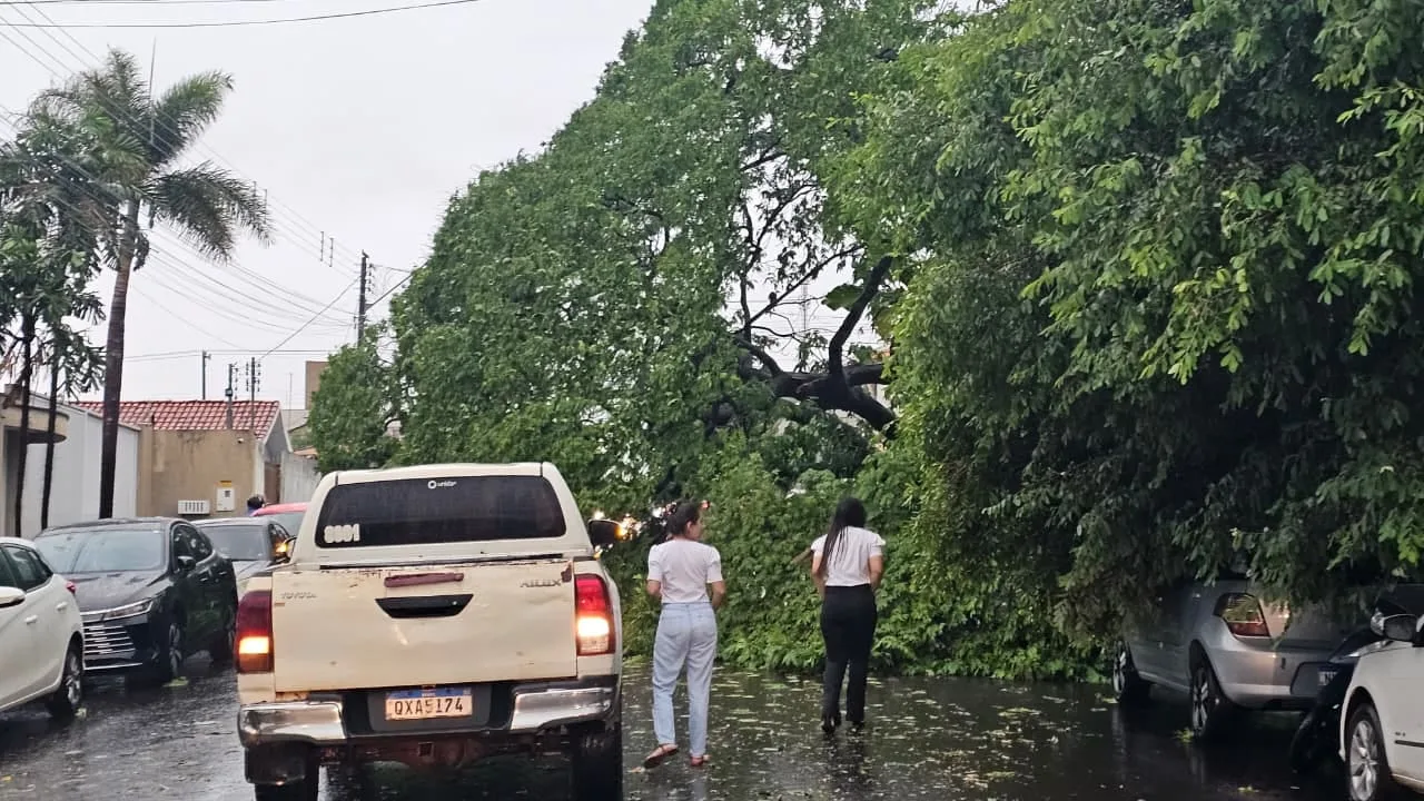 CHUVA PROVOCA QUEDA DE FIOS E ÁRVORE EM JATAÍ